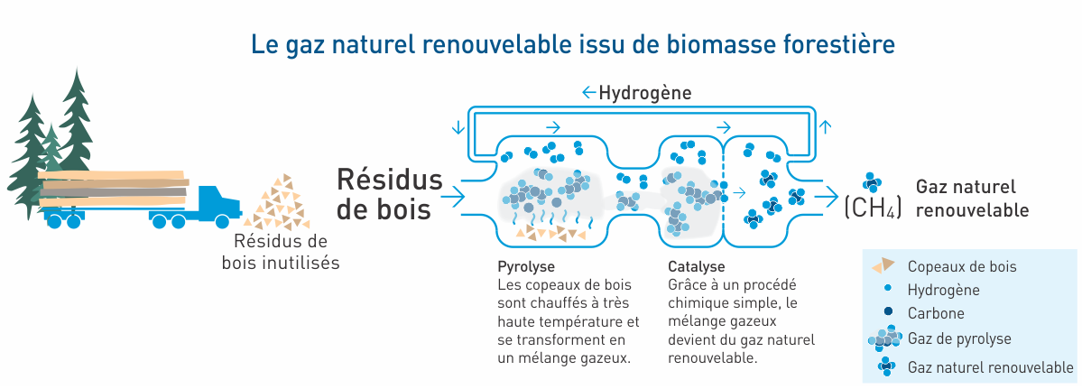Biomasse forestière, gaz naturel renouvelable